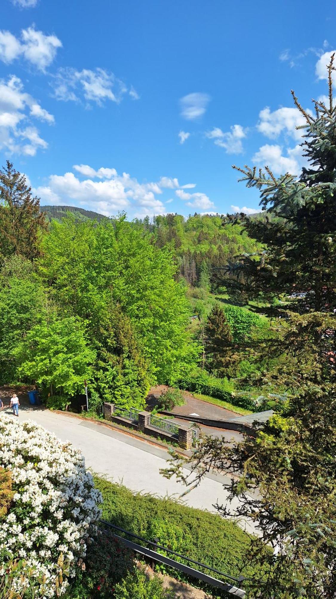 Haus Westharz Goslar Lägenhet Bad Grund Exteriör bild
