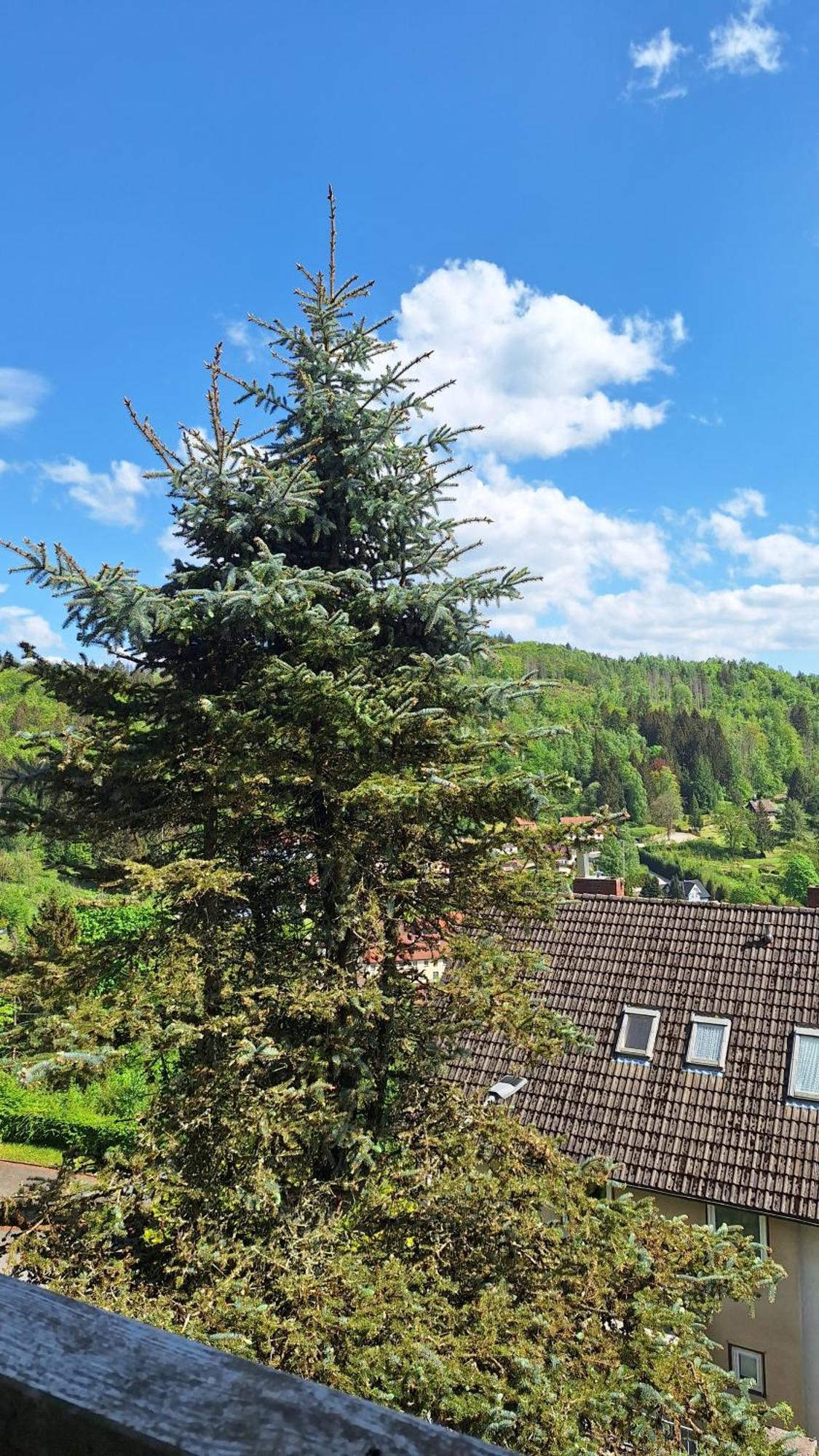 Haus Westharz Goslar Lägenhet Bad Grund Exteriör bild